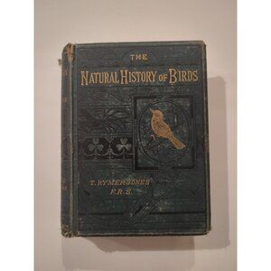 The Natural History of Birds by T. Rymer Jones Late 1800s HC Antique